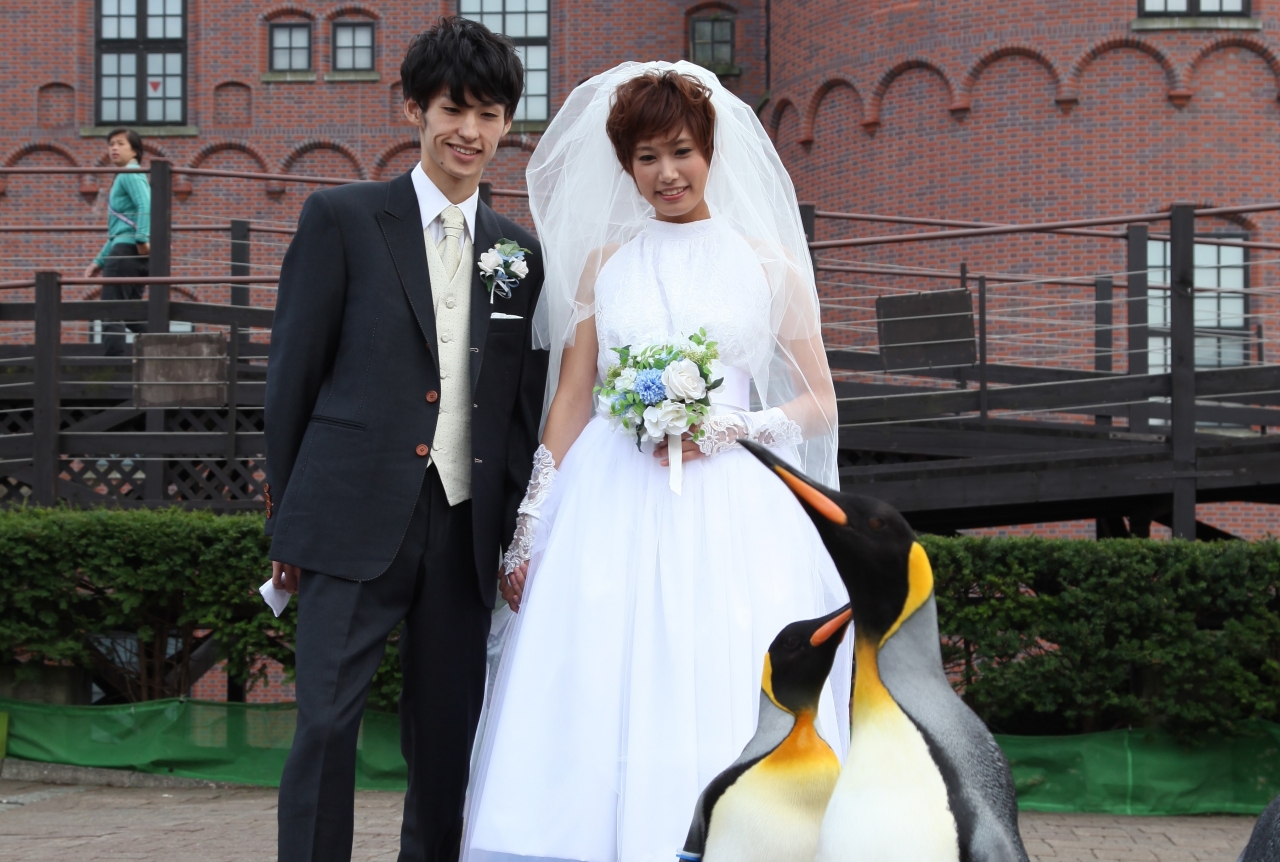 水族館結婚式マリンパーク Lwork